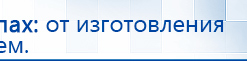 Электроды Скэнар -  двойной овал 55х90 мм купить в Тольятти, Электроды Скэнар купить в Тольятти, Медицинский интернет магазин - denaskardio.ru